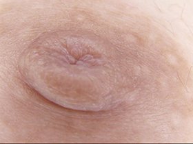 300人の乳首 3　サンプル画像03